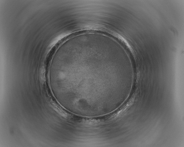 X0000111001019200906191546