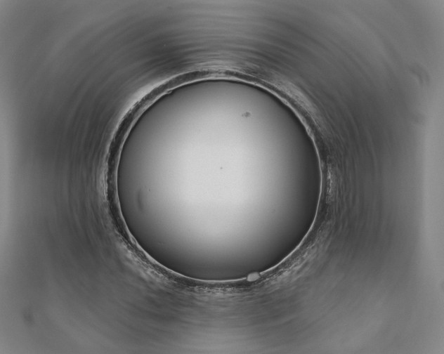 X0000111001020200906191546