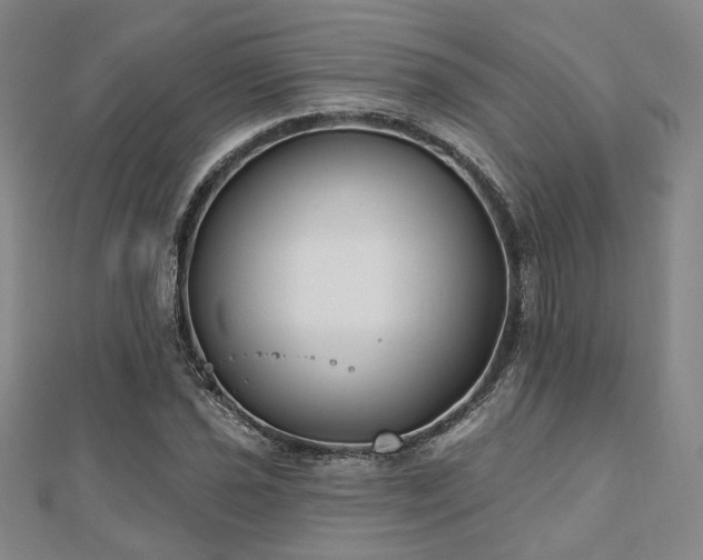 X0000111001021200906191546