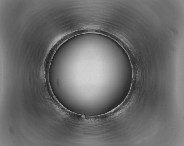 X0000111001022200906191546
