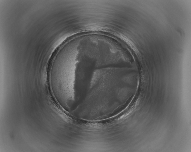 X0000111001023200906191546