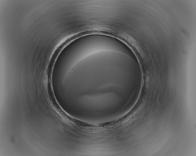 X0000111001024200906191546
