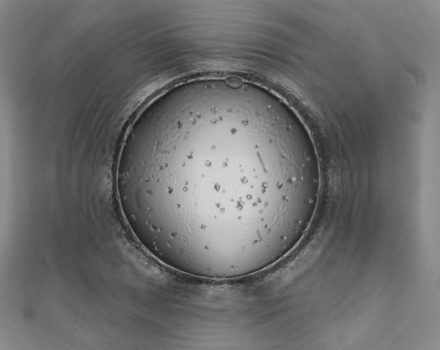 X0000111001025200906191546
