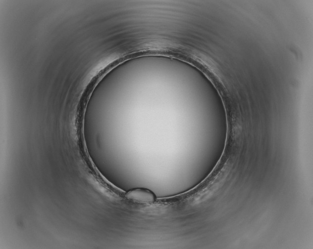 X0000111001026200906191546