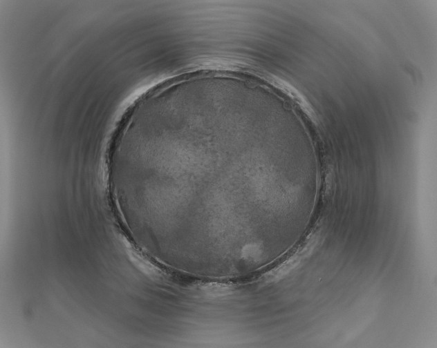 X0000111001027200906191546