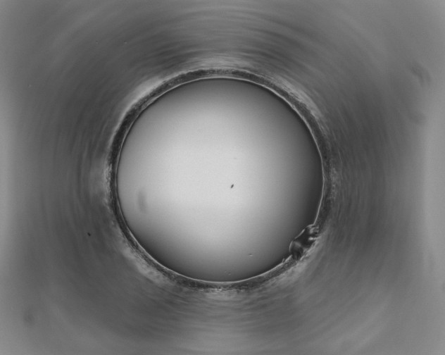 X0000111001029200906191546