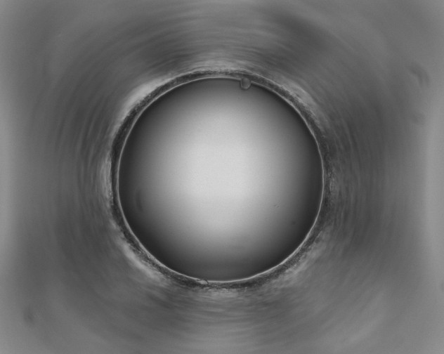 X0000111001030200906191546