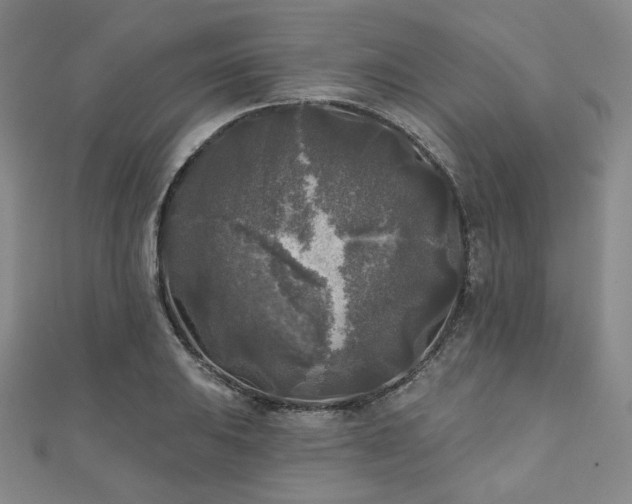 X0000111001031200906191546