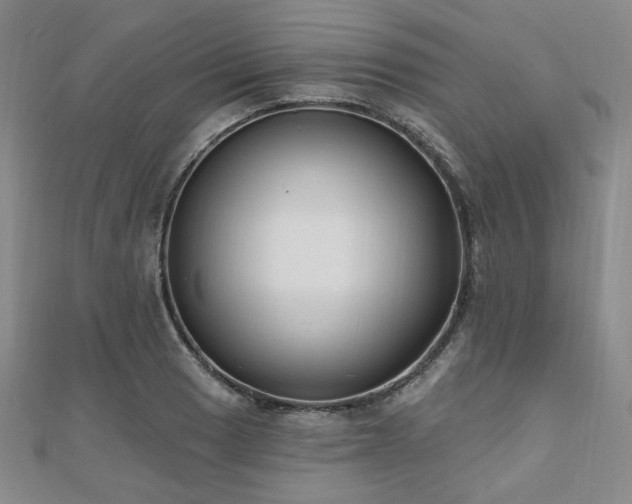 X0000111001033200906191546