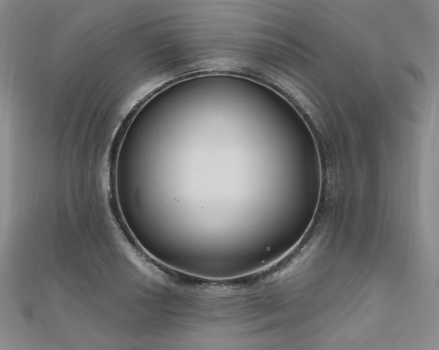 X0000111001034200906191546