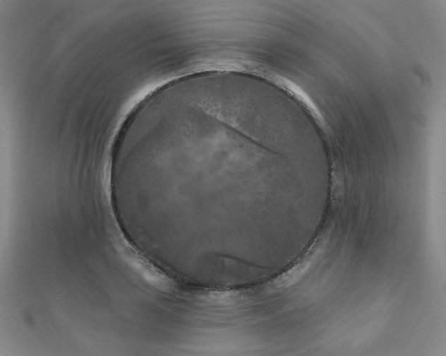 X0000111001035200906191546