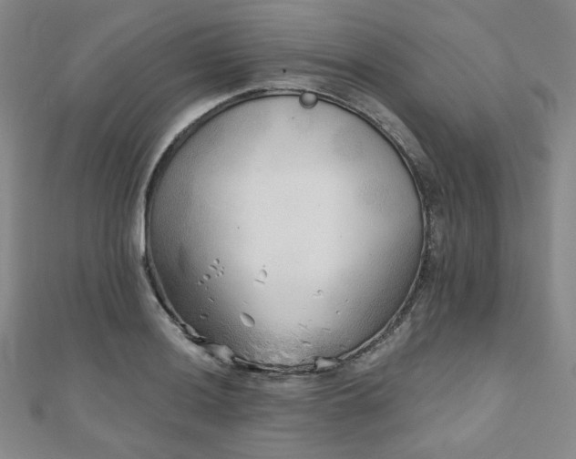 X0000111001036200906191546