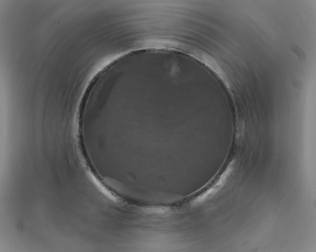 X0000111001037200906191546