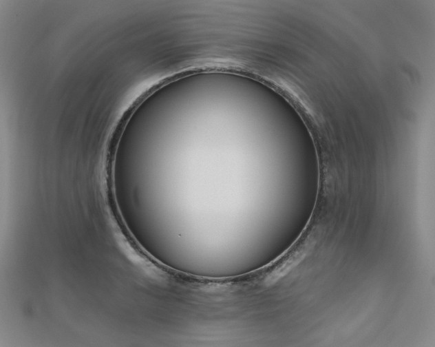 X0000111001038200906191546