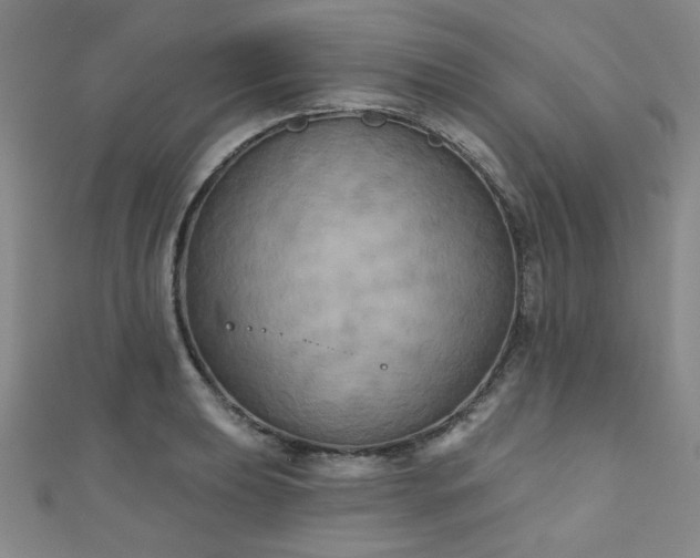 X0000111001039200906191546