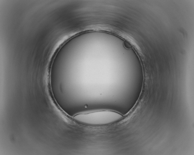 X0000111001040200906191546