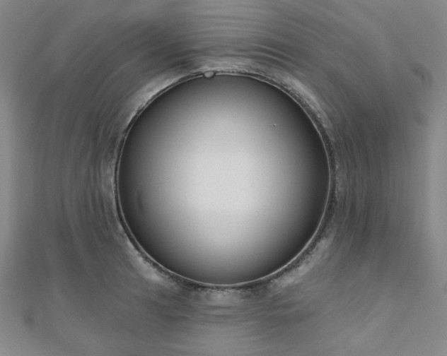 X0000111001041200906191546