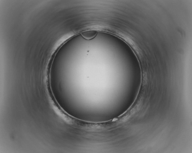 X0000111001042200906191546