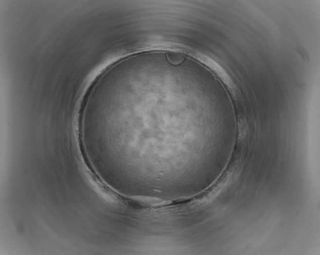 X0000111001043200906191546