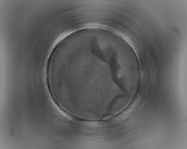 X0000111001045200906191547