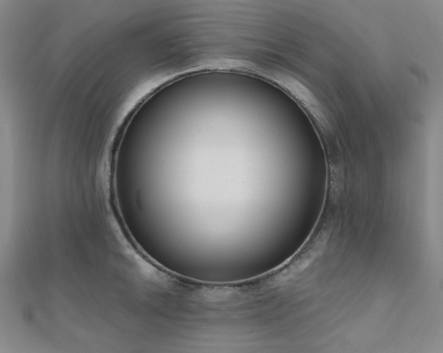 X0000111001046200906191547