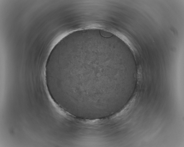 X0000111001047200906191547