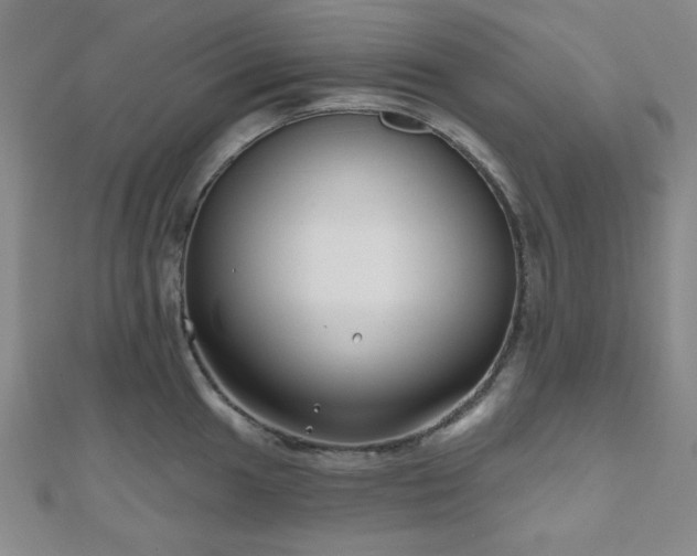 X0000111001049200906191547