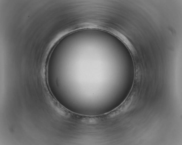 X0000111001051200906191547