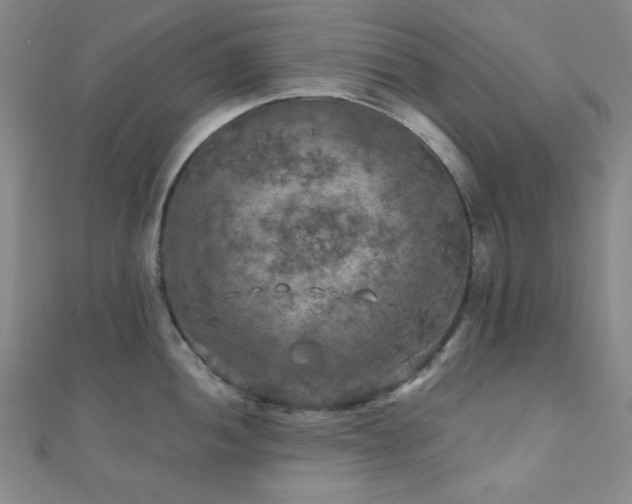 X0000111001052200906191547