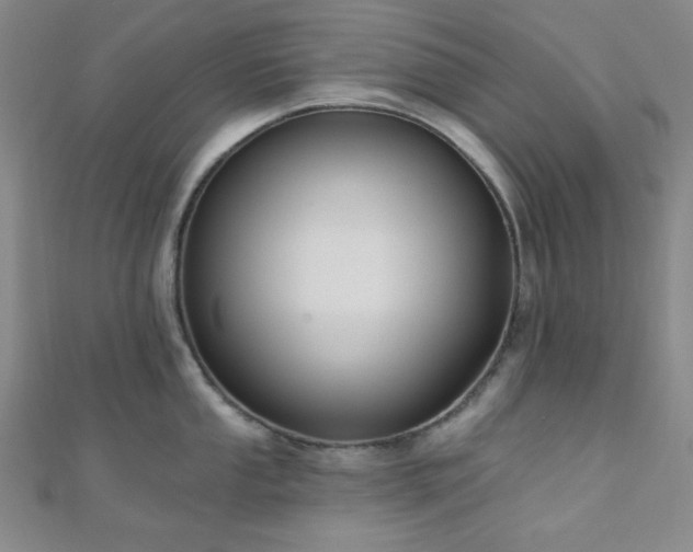 X0000111001053200906191547
