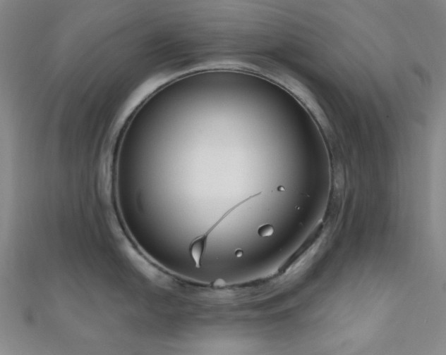 X0000111001054200906191547
