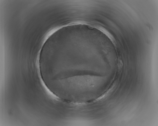 X0000111001055200906191547