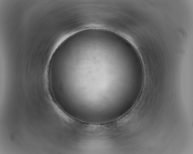 X0000111001056200906191547