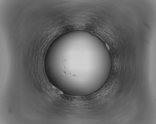 X0000111001057200906191546