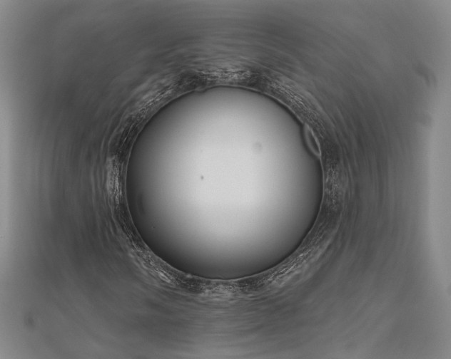 X0000111001058200906191546