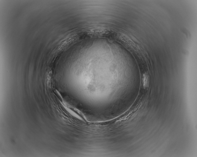 X0000111001059200906191546