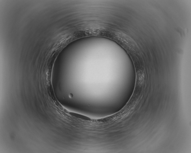 X0000111001060200906191546