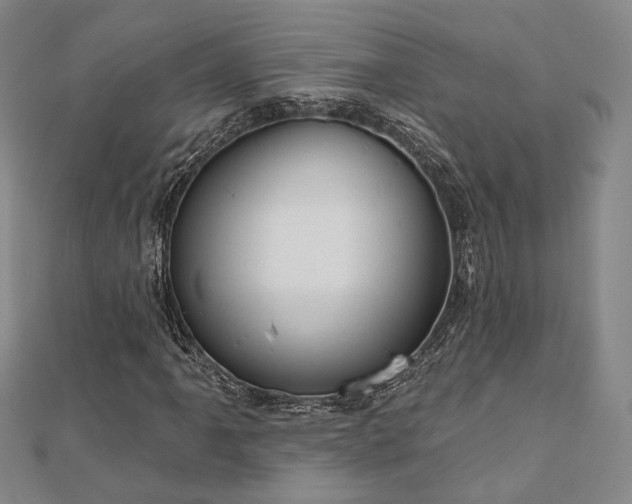X0000111001061200906191546
