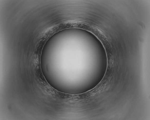 X0000111001062200906191546