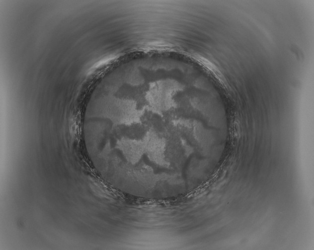 X0000111001063200906191546
