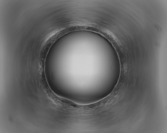 X0000111001064200906191546