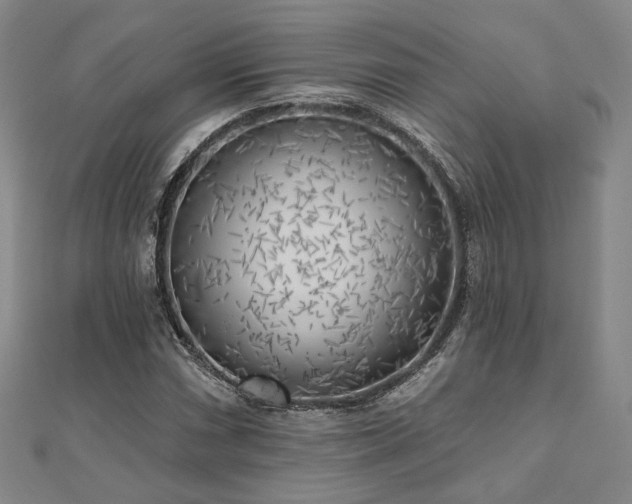 X0000111001066200906191546