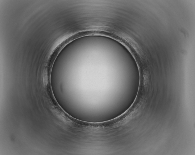 X0000111001069200906191546