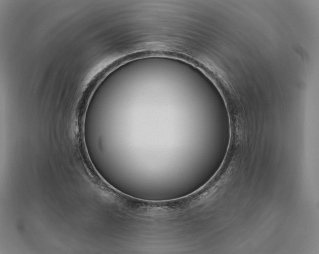 X0000111001070200906191546