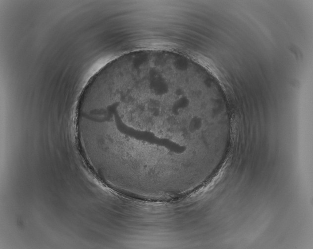 X0000111001071200906191546