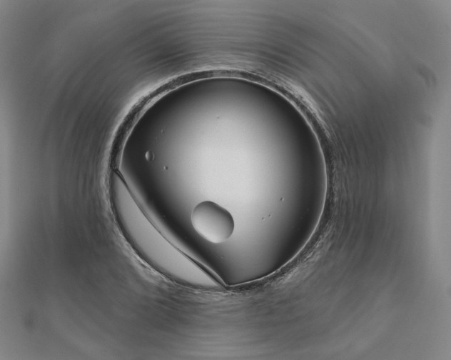 X0000111001072200906191546
