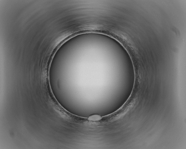 X0000111001073200906191546