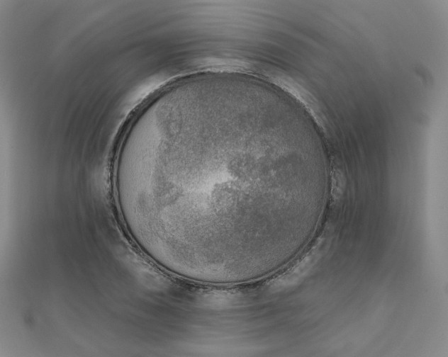 X0000111001074200906191546