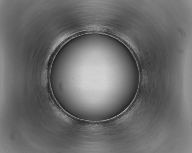 X0000111001075200906191546