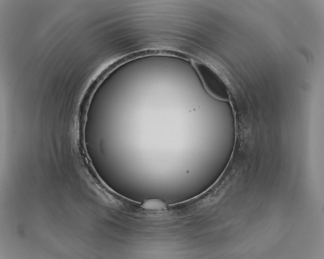 X0000111001076200906191546